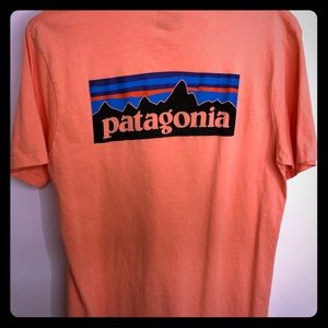 Patagonia TShirt